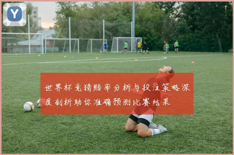 世界杯竞猜赔率分析与投注策略深度剖析助你准确预测比赛结果